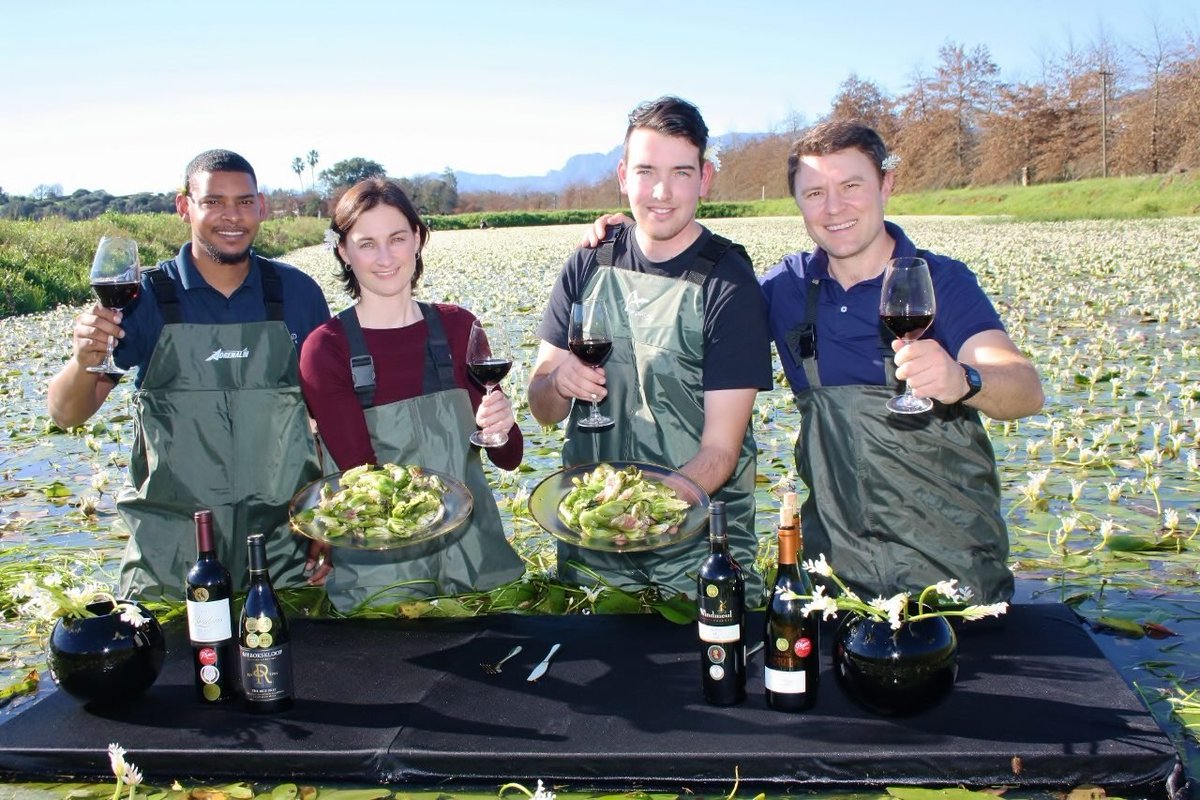 Four local wine producers in Paarl have joined forces to celebrate the 10th annual #WaterblommetjieFestival with a fun-filled line-up for the whole family on Saturday, 7 September | bit.ly/325C5DP
#VisitPaarl #DiscoverPaarl