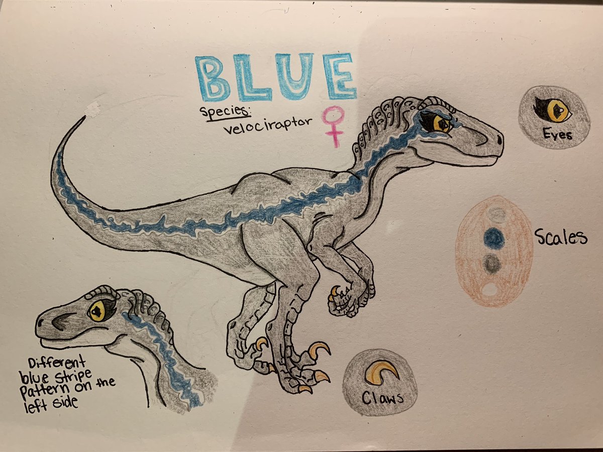 Blue Jurassic World Drawing