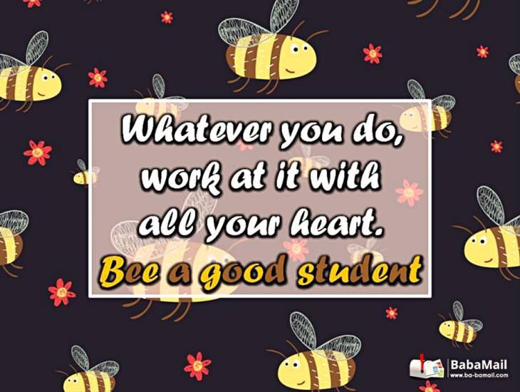 CouncilPass's tweet image. EPHS StuCo wishes everyone at EPISD an awesome first day of school and 2019-2020 school year!