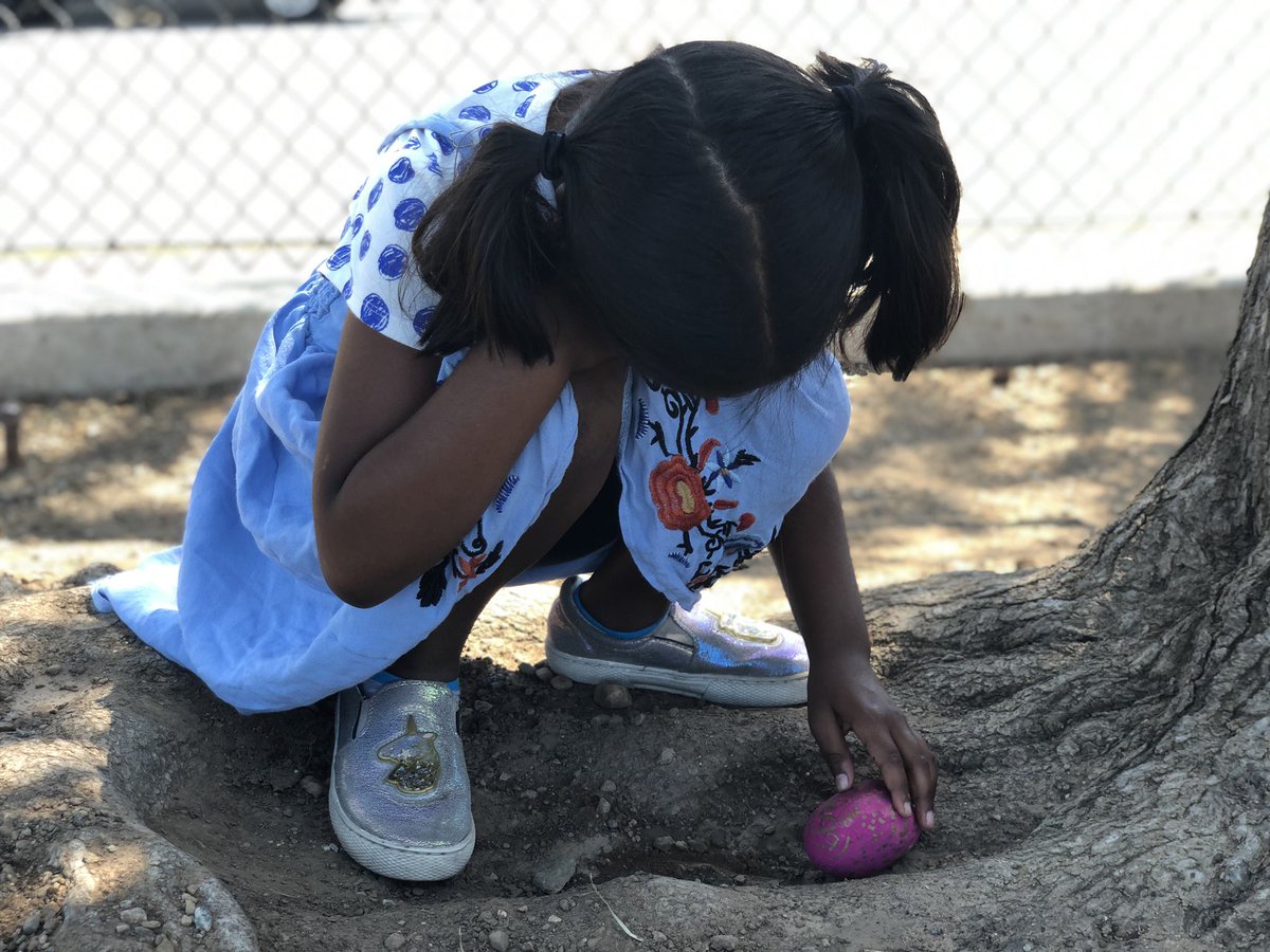mrsaoto's tweet photo. Kindness, collaboration, community. Exciting new friendships. So much learning. The first days of school have been busy! #carltonUSD #USDLearns https://t.co/aBNyR6goDo