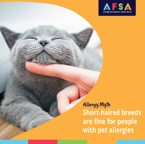 Are Cat Allergies More Common Than Dogs