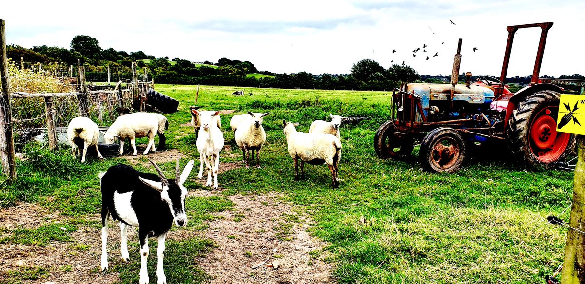 que malgrat la calor d'aquest estiu seguim treballant sense soroll. Estigueu atentes que en breus tindrem novetats: estrenes, fires, treballs en procès, esboços d'idees...
Avui comença TOT!