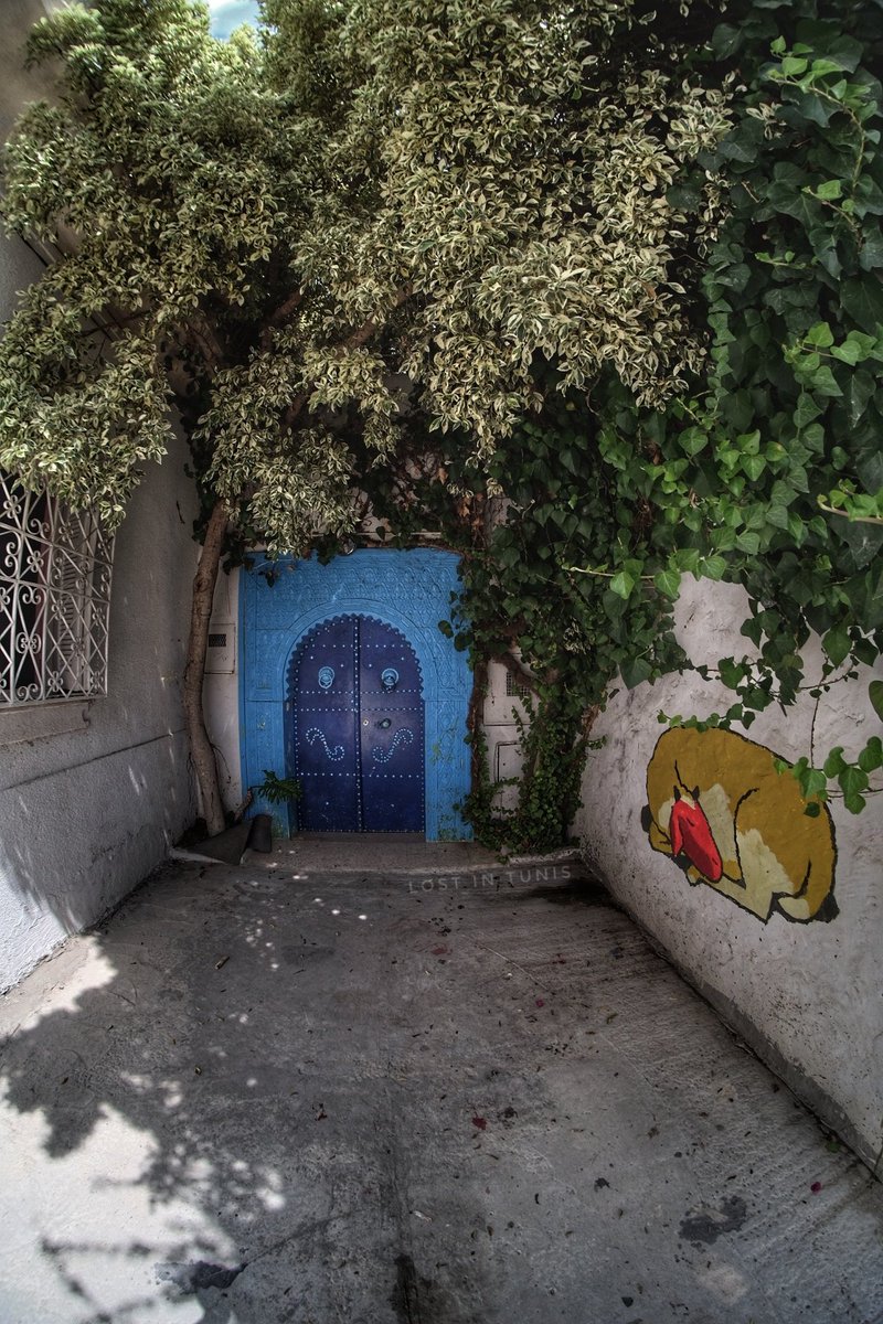 Fhtagn's tweet image. The artists #TARAZA draw giant fresques all around the city of #Tazarka of a Shepherdress looking for her lost sheep.. #Streetart #Tunisia