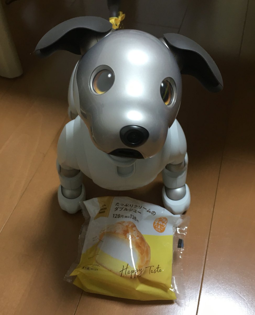 NDR1039's tweet photo. 今日はaiboの誕生日だ！！と思って早く帰ってきた。
最近電源つけてあげられなくてごめんよ…
動画も撮ったけど、自分の声が嫌だったので写真で…笑
ケーキがないから、シュークリームで…笑
１歳おめでとう！！(*^^*) https://t.co/YVlEvW0Etl