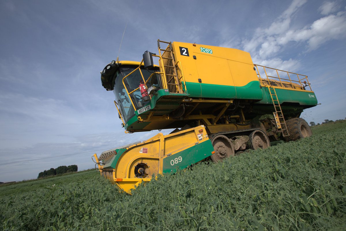 HMC Peas (@hmcpeas) on Twitter photo Throwback to our Pea Harvest. #ukfarming #harvest2019 Thanks <a href="/GNP_Gary/">Gary Naylor</a> for the photos! Throwback to our Pea Harvest. #ukfarming #harvest2019 Thanks <a href="/GNP_Gary/">Gary Naylor</a> for the photos!