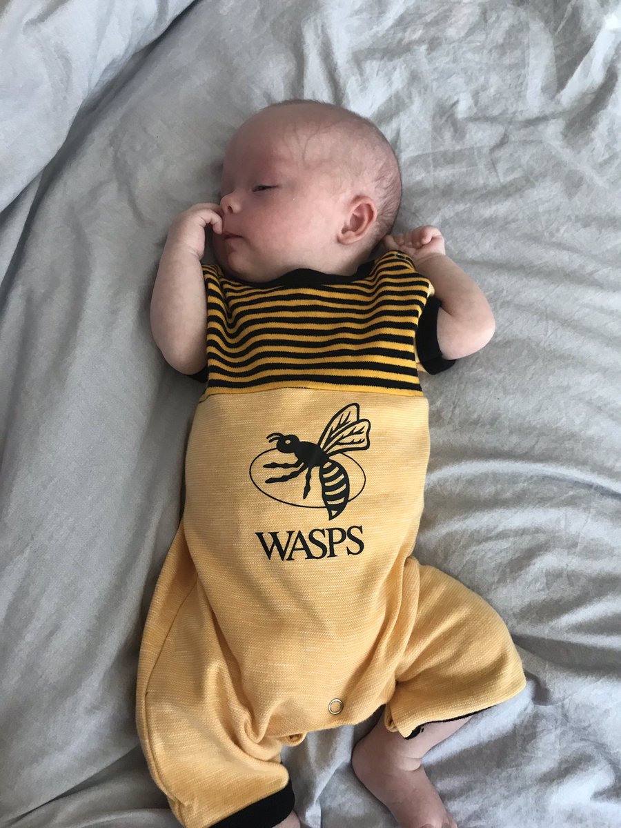 Touch Rugby Coventry (@coventrytouch) on Twitter photo Someone’s ready for the new season to hurry up <a href="/WaspsRugby/">Wasps Rugby</a> <a href="/premrugby/">PREM Rugby</a> <a href="/LimaSopoaga/">Lima Sopoaga</a> <a href="/joe_launch/">Joe Launchbury</a> <a href="/MalakaiFekitoa/">Malakai Fekitoa</a> <a href="/d_jrobson/">Dan Robson</a> <a href="/BenjiVellacott9/">B V ⚡️</a> <a href="/WaspsKitMan/">Pudsey</a> #thefuture #allezallez #wasps 🐝 Someone’s ready for the new season to hurry up <a href="/WaspsRugby/">Wasps Rugby</a> <a href="/premrugby/">PREM Rugby</a> <a href="/LimaSopoaga/">Lima Sopoaga</a> <a href="/joe_launch/">Joe Launchbury</a> <a href="/MalakaiFekitoa/">Malakai Fekitoa</a> <a href="/d_jrobson/">Dan Robson</a> <a href="/BenjiVellacott9/">B V ⚡️</a> <a href="/WaspsKitMan/">Pudsey</a> #thefuture #allezallez #wasps 🐝