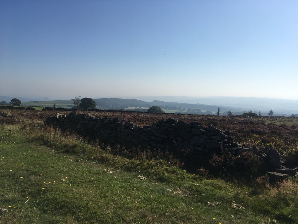 Mel Lindley tweet media