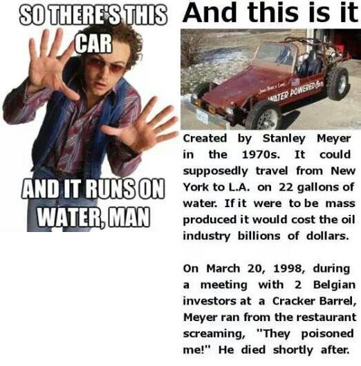 Enlightened Fool tweet media