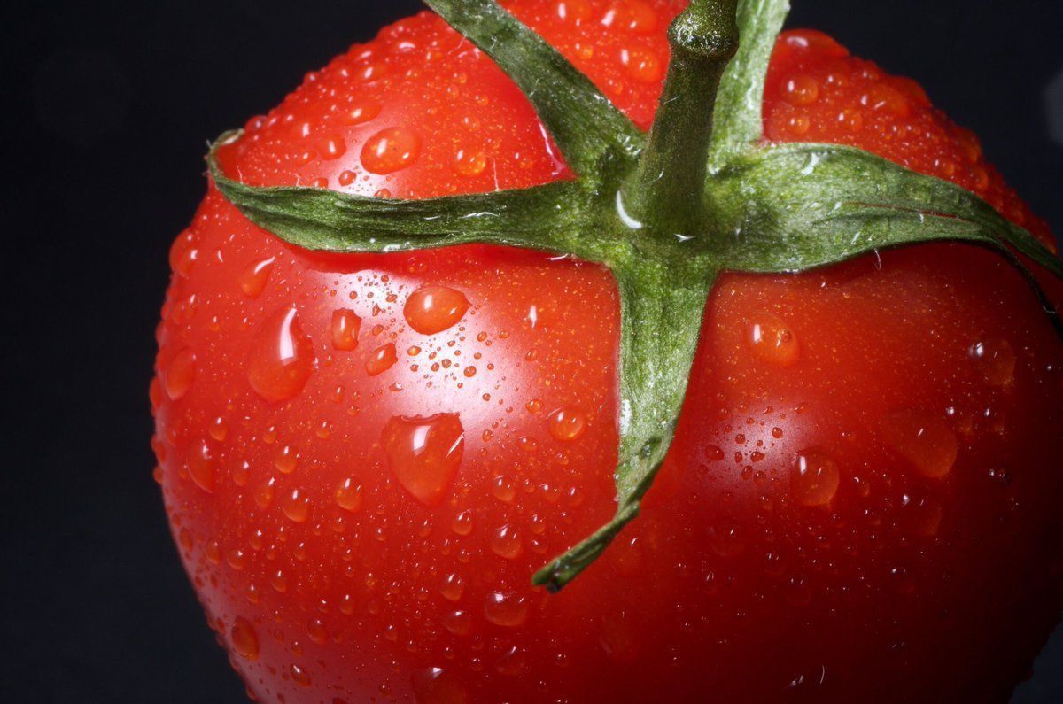 FAOenEspanol's tweet photo. #SabíasQue? Para producir un tomate 🍅hacen falta 13 litros de agua.

💧El #agua es un recurso precioso fundamental para producir todo lo que comemos y bebemos. ¡No la malgastes! 💧

#HambreCero https://t.co/bFO6t7heNq