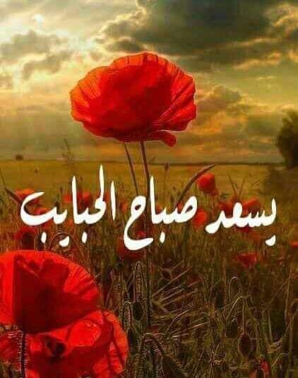 عثومي الخليجي (@oth_1r) on Twitter photo 