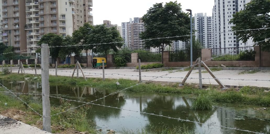 Hemant41400970's tweet photo. @DC_Gurugram @mukki181
@kMakrand @CPCB_OFFICIAL @MunCorpGurugram please look into the serious matter on priority as releasing water in Green belt causing Health Hazard and spoiling @GurugramMDA devlopment work. Thanks @IpsitaTOI @TOIGurgaon @city_spidey @DEEPAKKAHUJA https://t.co/heLgINQ9GK