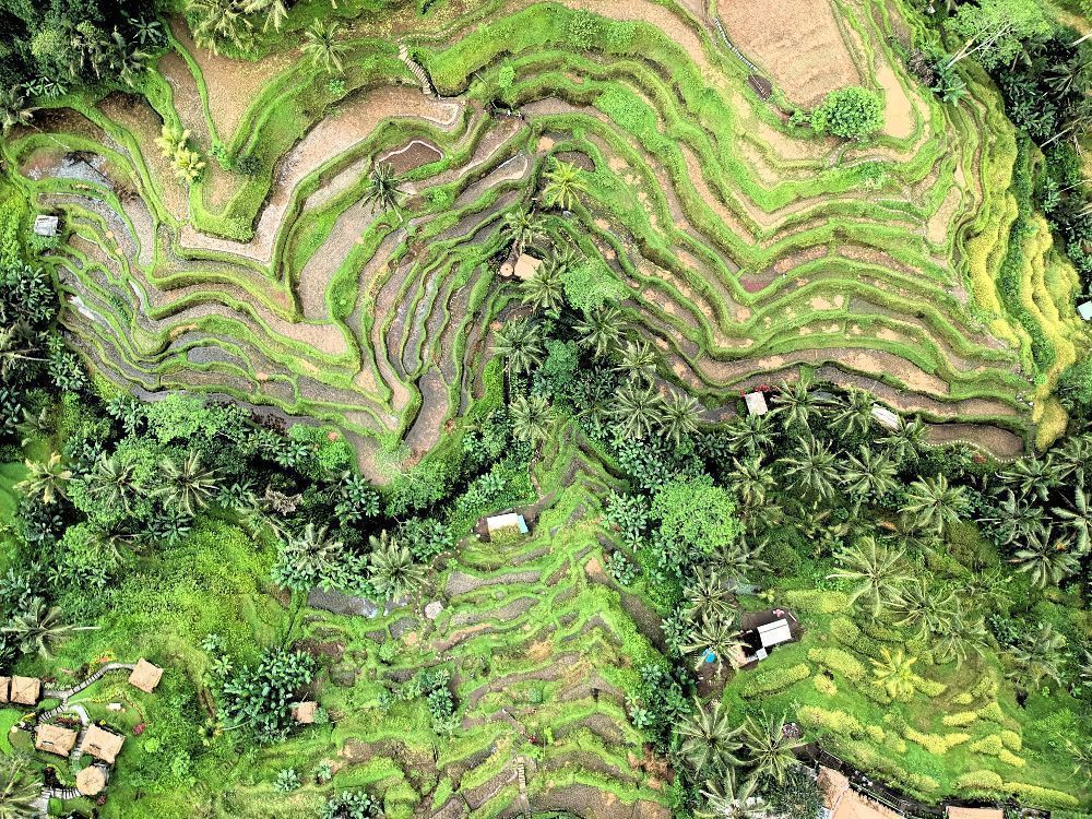 RT <a href="/FAO/">Food and Agriculture Organization</a>: #Agroecology can support food production and food security and nutrition while restoring the ecosystem services and biodiversity that are essential for sustainable #agriculture.