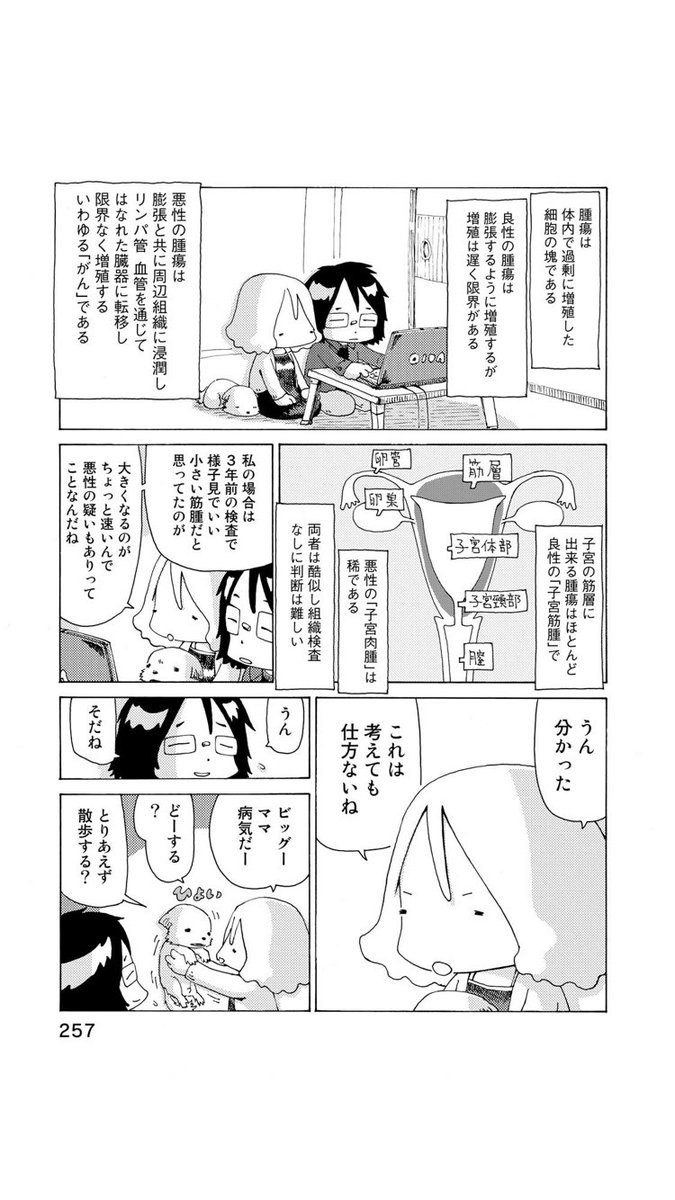 『さよならタマちゃん』 プロローグ(第26話)-1
僕の精巣腫瘍が見つかる数カ月前、妻が子宮筋腫の手術をして。
時系列的には第1話より前ですが、これが作品としてお届けするラストエピソードです。