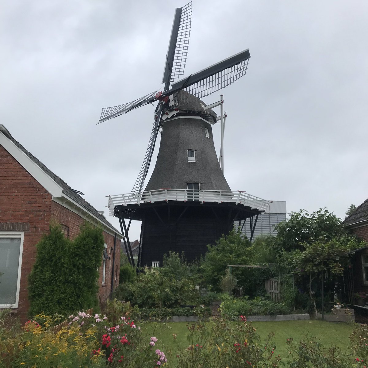 PennyHaw's tweet photo. Time for a final #flatrun in The #Netherlands before heading home tomorrow. Bedankt. My legs and I have loved it. https://t.co/wrOtqB8kye