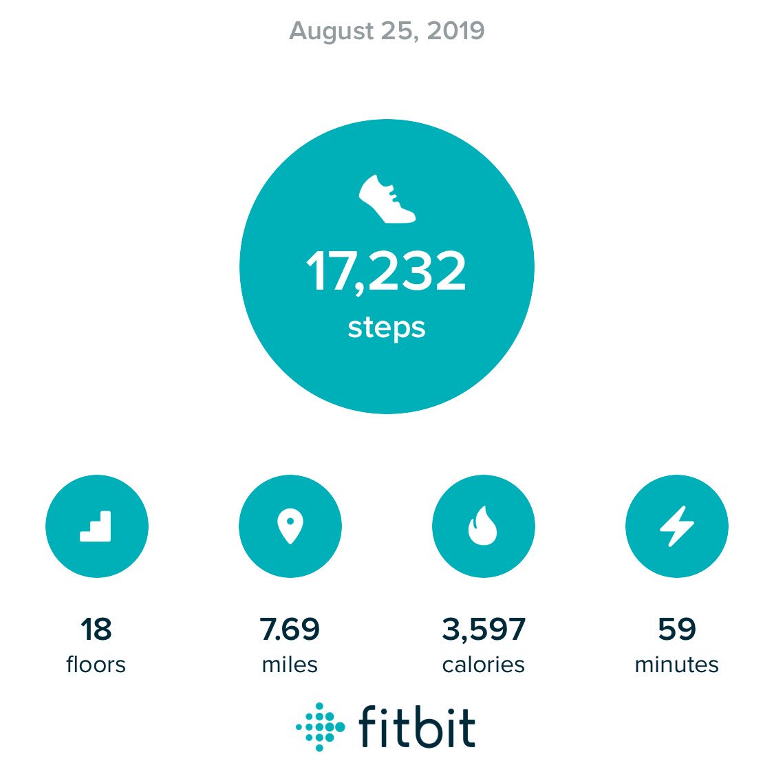 dougdefrank's tweet photo. First full day of @vmworld #vFitBit stats: https://t.co/tNPxvRKDoH