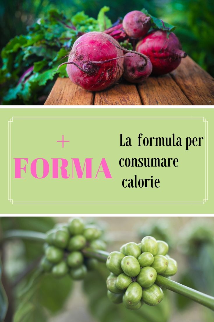 SpuntiSpuntini's tweet photo. Scopri la fomula con gli ingredienti naturali che riattivano il metabolismo e ti fanno perdere peso anche dopo i 40 anni.😃 #dieta #calorie #barbabietola #wakame #caffeverde https://t.co/QLsWBTrK91 https://t.co/CNQXBXJSDa