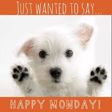 CartersCollecta's tweet photo. Morning! #HappyBankHoliday Monday!
Sunny in Shanklin

Still confined to barracks (meh!) so 
Priorities inc:
Whatever I fancy - it's BH Monday after all!

Whatever you're up to, why not take a look our antique, vintage, collectable #giftideas 

https://t.co/fXfEbA3KQk https://t.co/8D7SJHTTrH