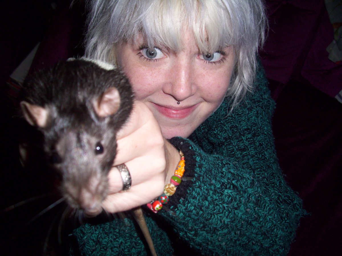 I’m doing another solo show and it’s called RATS! here is my old pet rat jack
fringecomedy.com.au/single-event?s…