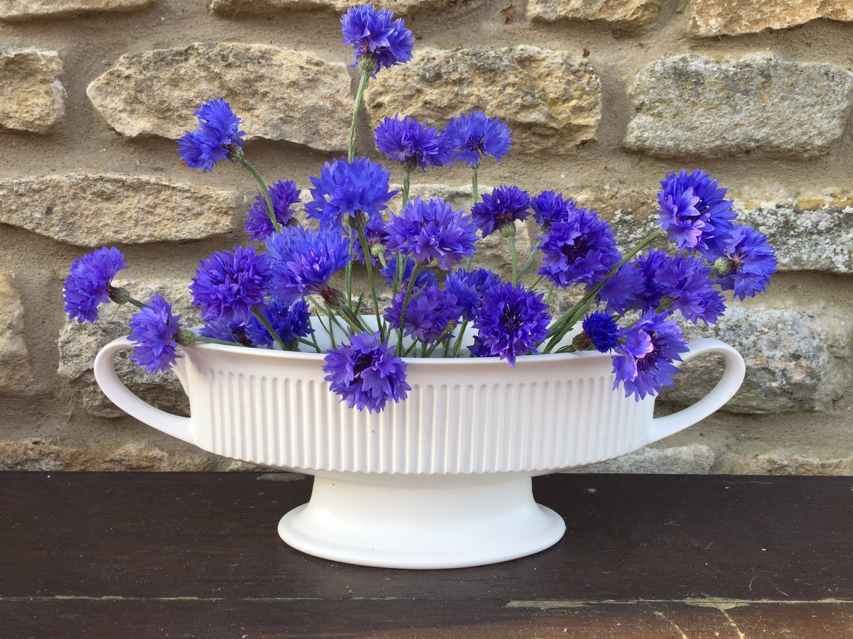 Found this simple yet elegant vase at a country craft event - perfect for a very ephemeral display of cornflowers @jpmoseley #mencandoflowers #britishflowers #homegrownflowers