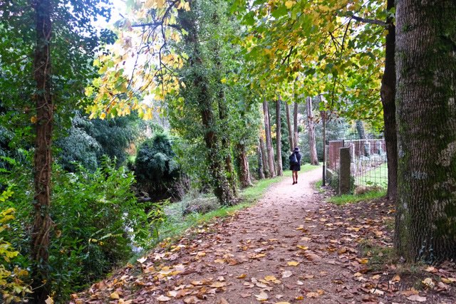 maisgrelos's tweet photo. Cuntis, turismo de interior en Rías Baixas. https://t.co/lmrFjDINSh vía @maisgrelos https://t.co/CvGrKb3UTN