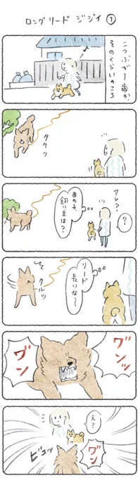 月曜はこつぶ新作の日?
(1週間無料で見れます)
つづきはこちらからぜひ!
→ https://t.co/w4kgOyaEwt

ちょっと前の思い出☆

#漫画 #マンガ #エッセイ #柴犬 