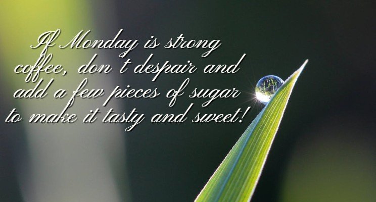 Starsatsa's tweet image. If you are lucky enough to be different....Don't Ever change!!!#hellomonday #hellonewweek #monslay #starsat