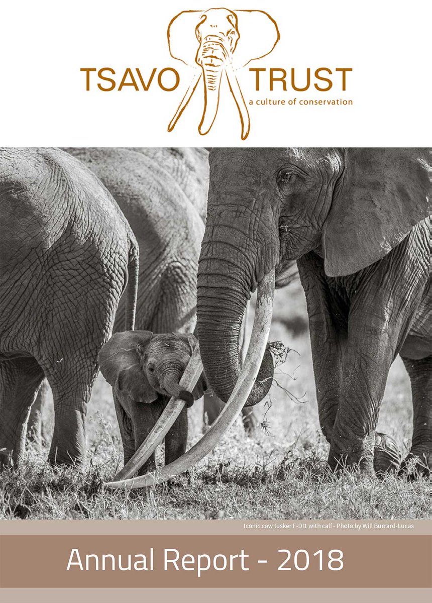 Tsavo Trust 2018 Annual Report is available via the following link...
bit.ly/2ZjcM42
  #tsavo #tsavoconservation #elephantconservation #bigtuskerproject #tuskers