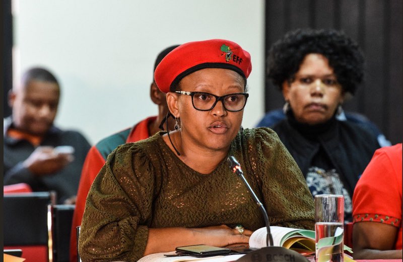Mbuyiseni Ndlozi tweet media