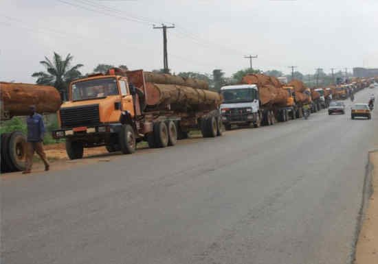 ThePrinceOvie's tweet photo. While the world nags about the #AmazonFire in the #AmazonRainforest, we are quiet about the #Deforestación that has continued unabated across #Africa. These images from #Cameroon are daily sights of products destined for #Europe and #China #G7Biarritz #G7Summit #Deforrestation https://t.co/TgTaideonb