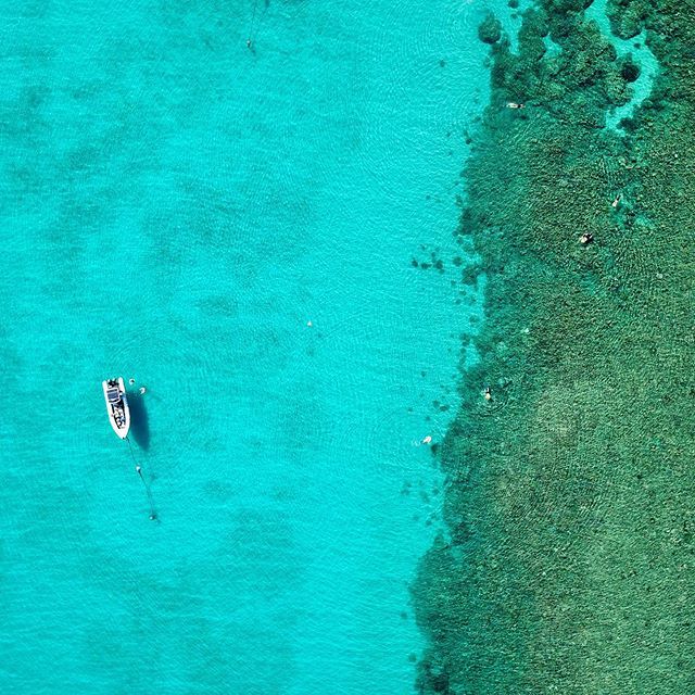 Keen for some Keppel clarity 👌🏝🐠
.
.
.
.
.
.
.
.
.
.
.
#keppelexplorer #visitcapricorn #seeaustralia #thisisqueensland #queensland #southerngreatbarrierreef #greatbarrierreef #greatkeppelisland #keppelisland #yeppoon #islandlife #boat #paradise #beach #island #instatravel #i…