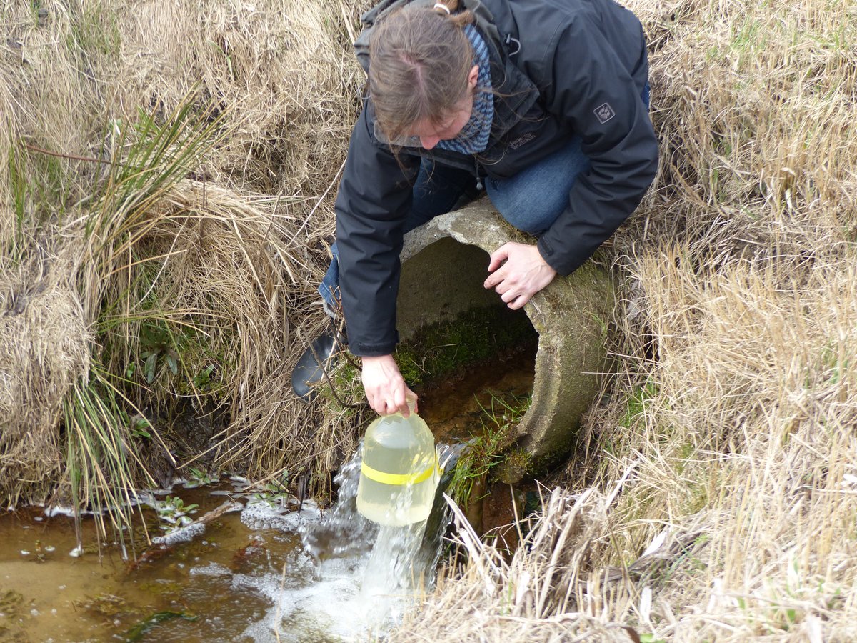 Phosphor von der Quelle bis ins Meer: Am 17. und 18.09. finde am IOW <a href="/Ostseeforschung/">Leibniz_IOW</a> der Abschluss-Workshop des @BMBF_Bund-Projekts PhosWaM statt. Kurzentschlossene können sich bis zum 30.09. anmelden. Weitere Informationen und das Programm gibt es hier: bit.ly/2zjlaBr