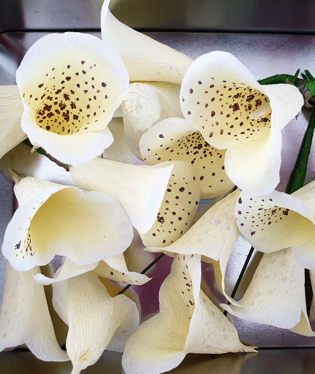 PaperBotany's tweet photo. Box of paper foxglove flowers, ready to be attached to their stem.. https://t.co/ujtDMDwG6D