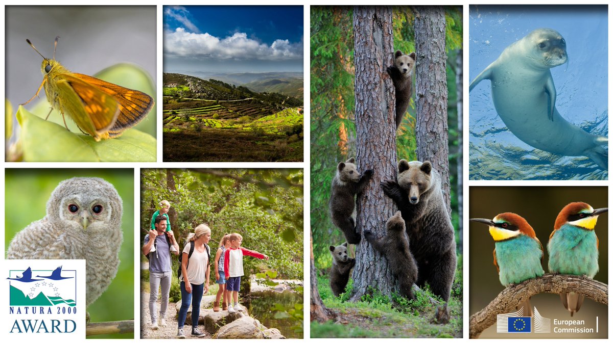EU_ENV's tweet photo. While species and ecosystems are facing so many threats, thousands of people are working every day to protect #EUBiodiversity 🐺🦋🐍🐬🌳🦇🐸🌼 
#Natura2000 managers, get the recognition you deserve, apply for the #Natura2000awards by 30 September 
https://t.co/p3JOOh0GMr https://t.co/37M4QGvylI