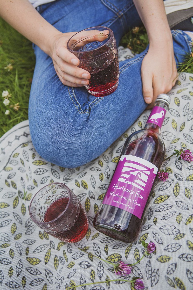 Picnic Perfect! What have you got planned this bank holiday Monday? #heartseasefarm #picnic #BankHolidayWeekend #drinks #blackcurrant #britishblackcurrants #sparkling