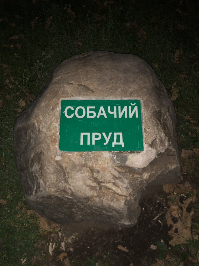JohnsonMasha's tweet photo. и он вполне ничего https://t.co/tUbEqGIBvt