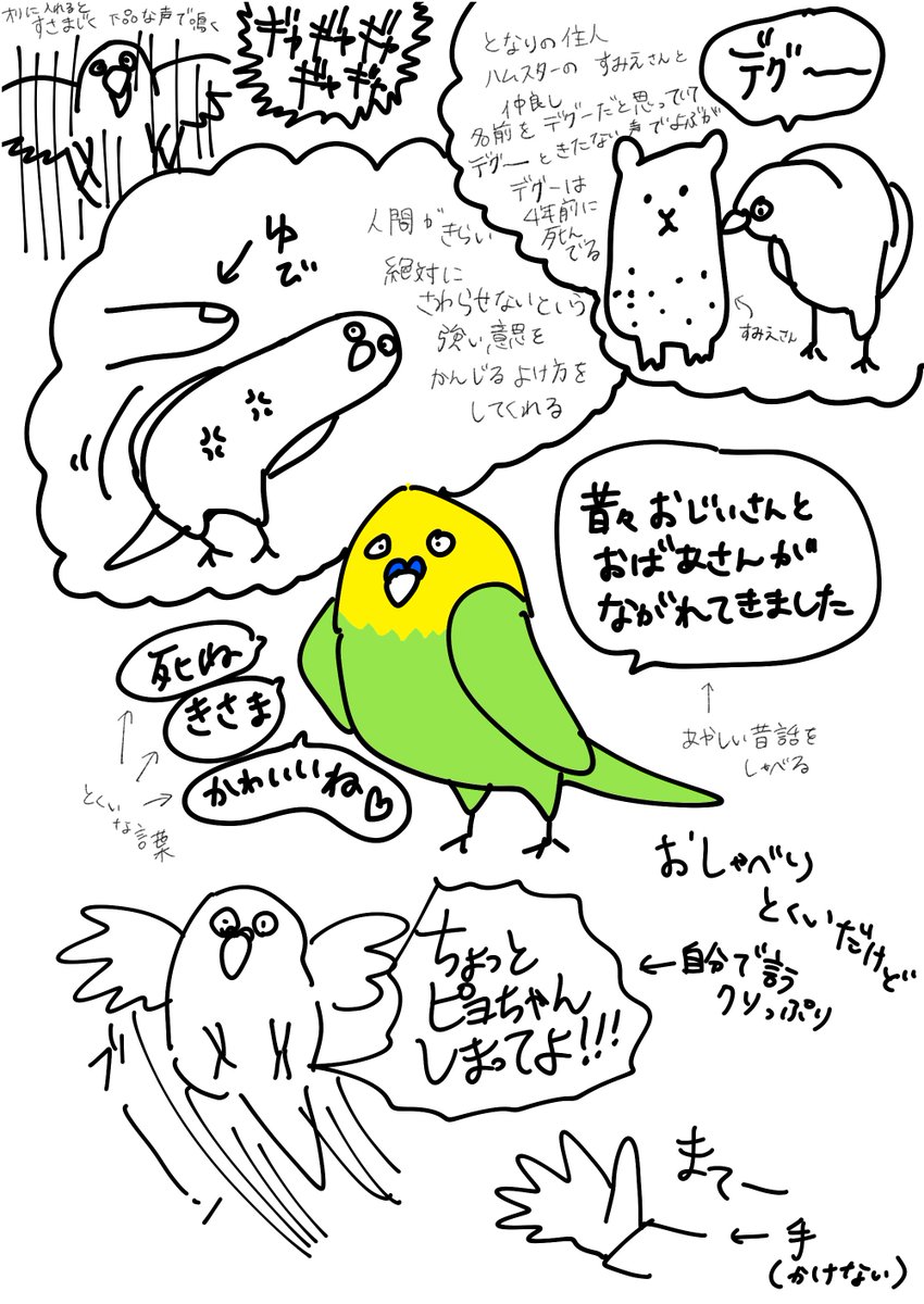 インコの話で盛り上がってたからうちも紹介するね https://t.co/I4WvY5Ayy2