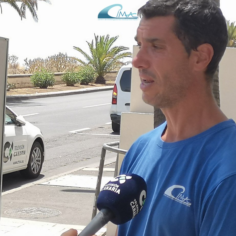 cima_sl's tweet photo. Dentro de poco compartiremos por aquí el pequeño repor que nos hicieron para @RTVCes.
¡Muchísimas gracias en especial a @YaizaDiazTV por su interés en nuestro trabajo!
#Oceanografía #Biología #Marina #ComunicaCiencia #Análisis #Infauna https://t.co/dNR0lXV9dN