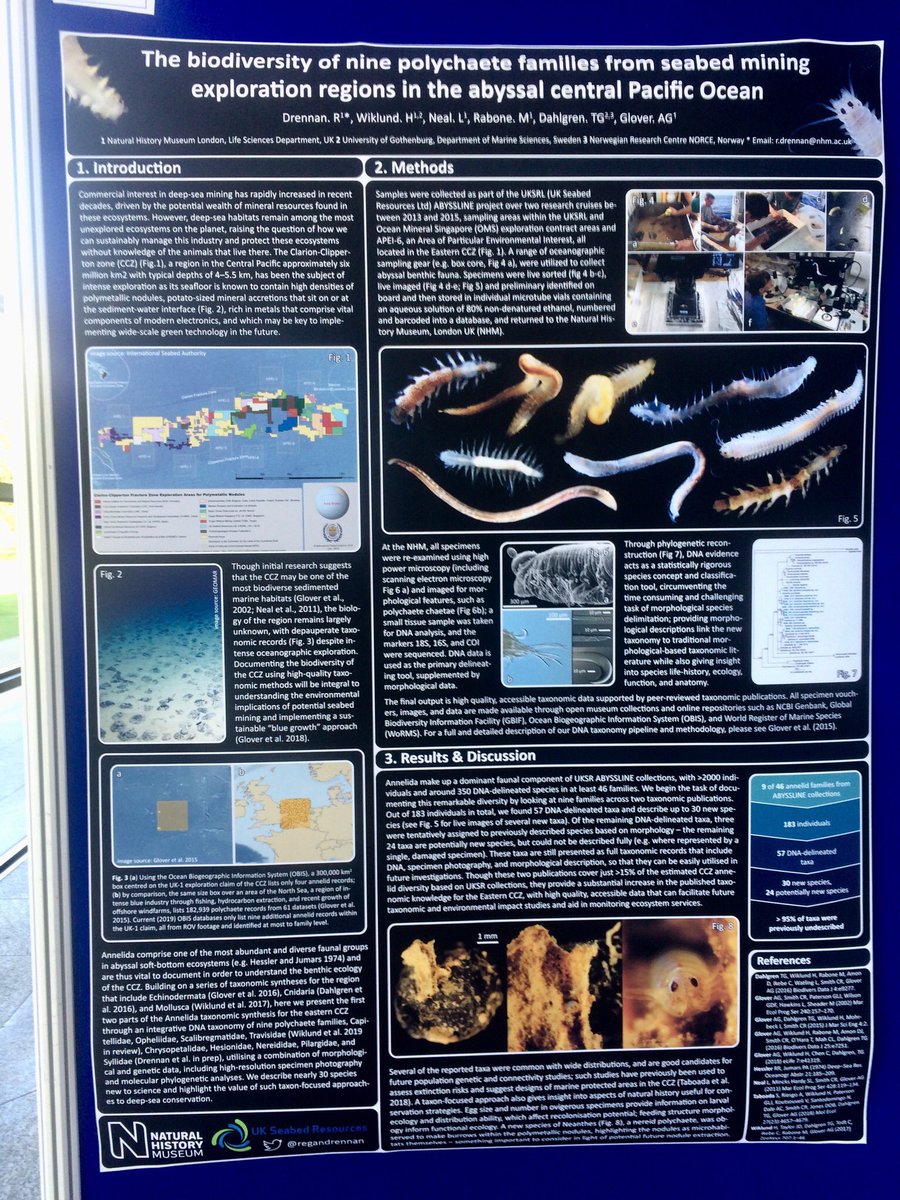 ReganDrennan's tweet photo. Poster up and ready to go for #EMBS54 on the #NHMDeepSea lab’s wormy taxonomy from the #ABYSSLINE project! https://t.co/n9qIWqpYTq