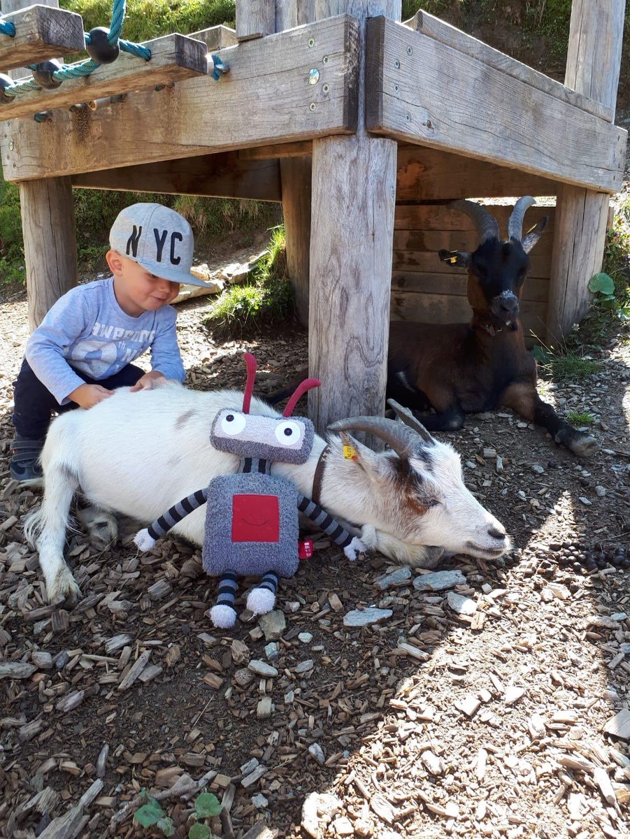 Hallo Freunde. Ich habe ein ultracooles Foto für euch: New York City Boy meets Almziege! 🗽🐐🥰
Wird sich da eine wahre Freundschaft entwickeln?