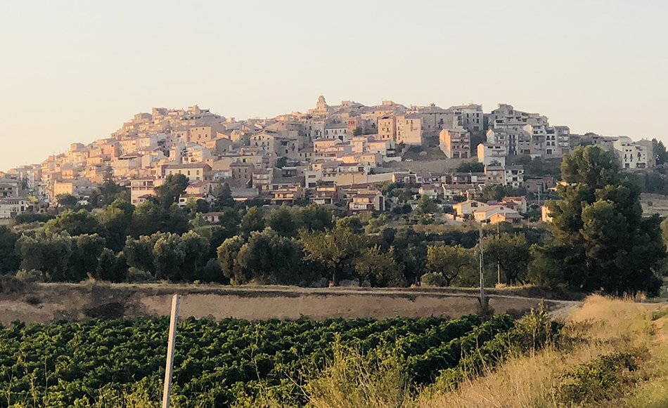 cupatges's tweet photo. 🍇🍇Una Terra Alta en efervescència. 👉Reportatge de @RFrancas 
https://t.co/ELSCE4SvQK https://t.co/FHmXeKOPqa