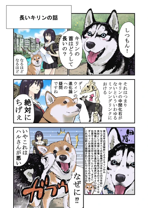 世界の終わりに柴犬とキリンの首がなぜ長いかという話 