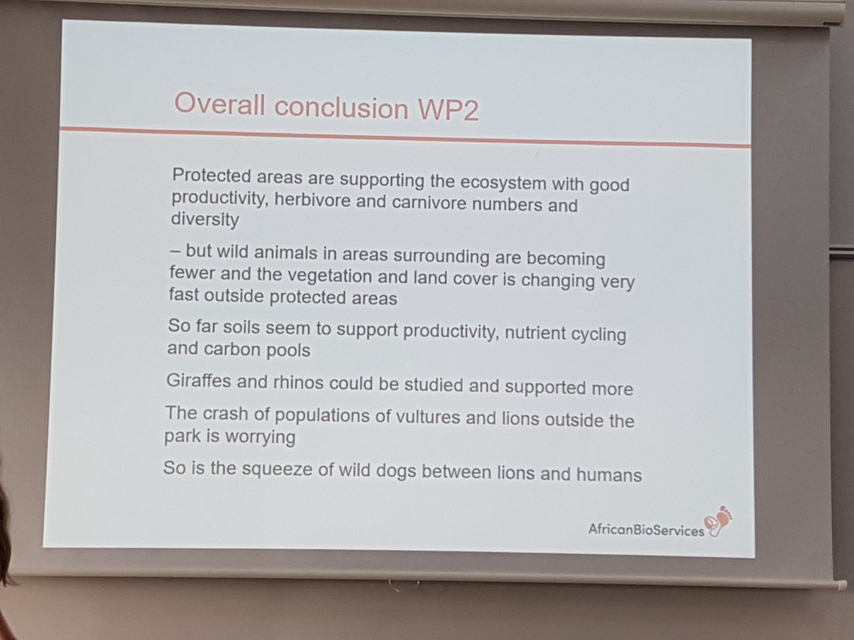 BiochangeAU's tweet photo. Prof. Bente Graa from @NTNU on the research highlights of the #AfricanBioServices project WP2. Main take home: PAs support the ecosystem with good productivity, herbivore + carnivore no and diversity, but wildlife is declining + veg- and landcover changes happen fast outside PA https://t.co/8PGYL1DDS5