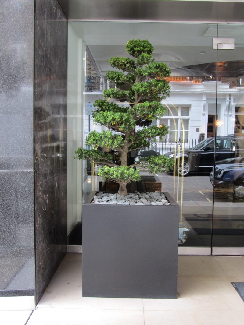 Leaflike tweet media