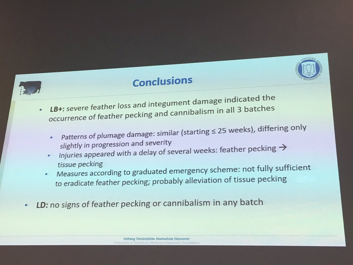 LABoyle2's tweet photo. Almost no #featherpecking performed by dual purpose (LD) birds in conventional systems compared to conventional layers (LB). Dual purpose birds for a more #sustainable production system? No more killing of day old male chicks ๐ฃ a major benefit ๐ @GroupHouseNet1 #EAAP2019 https://t.co/ZX5YTkDdN0