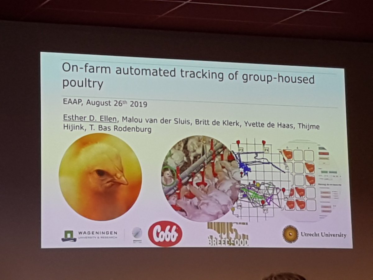 Breed4Food tweet media