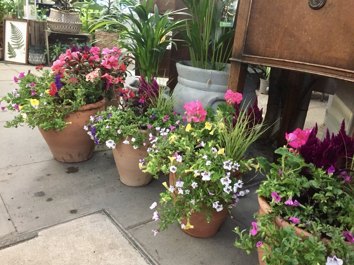 alfresco_style's tweet photo. Bank holiday gathering planned? Pop and see us this morning at @HattonShopping Village to give your garden a quick makeover. Our instant summer colour pots are looking fantastic. #TheAlfrescoStyle #SummerGarden #OutdoorPots https://t.co/2Lnuqcppsg
