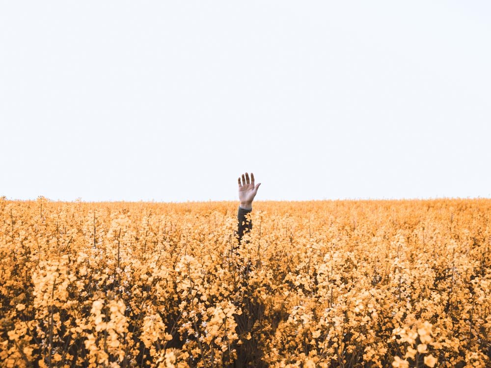 #RoadTrip in vista? NO PANIC! Abbiamo raccolto per voi una serie di consigli su come evitare lo stress in #viaggio e vivere serenamente le vostre vacanze: 
travelonart.com/viaggi/stress-…

In collaborazione con <a href="/AutoEurope_IT/">Auto Europe IT</a>
