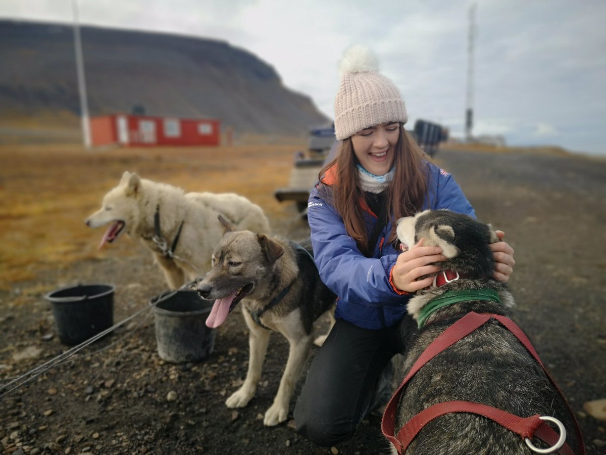 ArcticBurns's tweet image. Happy international dog day from Svalbard, first time husky sledding and hopefully not the last 🐺