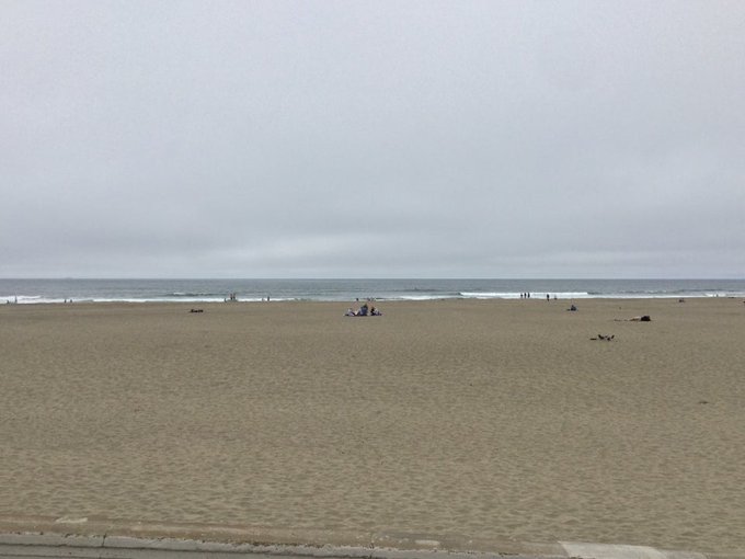 🦆🦆🦆 Duck duck duck goose!(1). Ran 11 miles by two lakes(2,4) and the sea(3). Overcast til the Conservatory(5)<a href="/tag/selfie"class="tags"><span>#selfie</span></a><a href="/tag/sanfrancisco"class="tags"><span>#sanfrancisco</span></a><a href="/tag/run"class="tags"><span>#run</span></a><a href="/tag/duck"class="tags"><span>#duck</span></a><a href="/tag/lake"class="tags"><span>#lake</span></a><a href="/tag/sf"class="tags"><span>#sf</span></a><a href="/tag/runner"class="tags"><span>#runner</span></a>