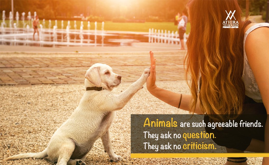 AthiraTechBLR's tweet photo. Why not learn small things from animals? They are inspiring in their nature too.🐕🐶
#InternationalDogDay #MondayBlues #MondayMotivation #Social_Media #Digital_Marketing #Athira #AthiraTech #AthiraTechnologies https://t.co/G16E5IftuN